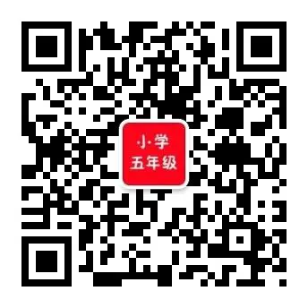 如何选择适合篮球康复训练的器材_1